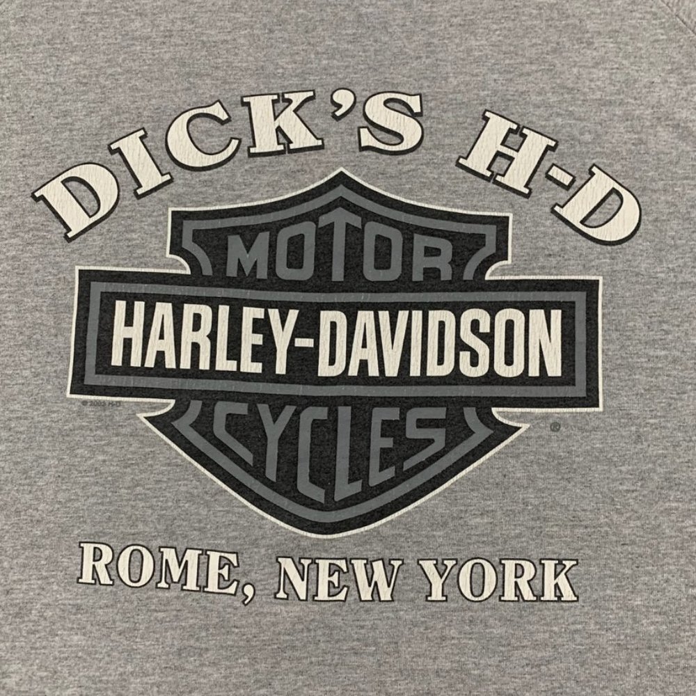 2010s Harley-Davidson Rome New York Dick's Motorcycle Faux Layered Overs… - Picture 11 of 16